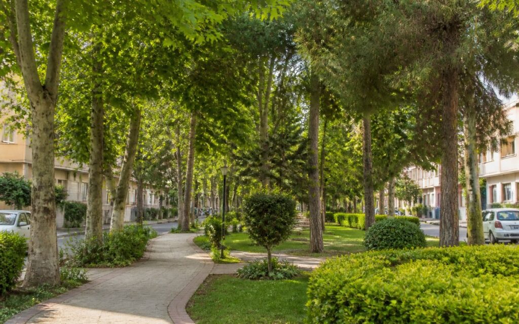 میکاپ عروس در گوهردشت